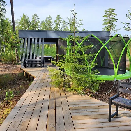 Forrest Glamp