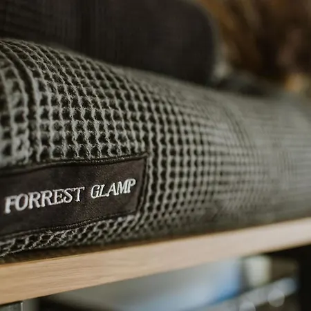Forrest Glamp Holiday home Saulkrasti